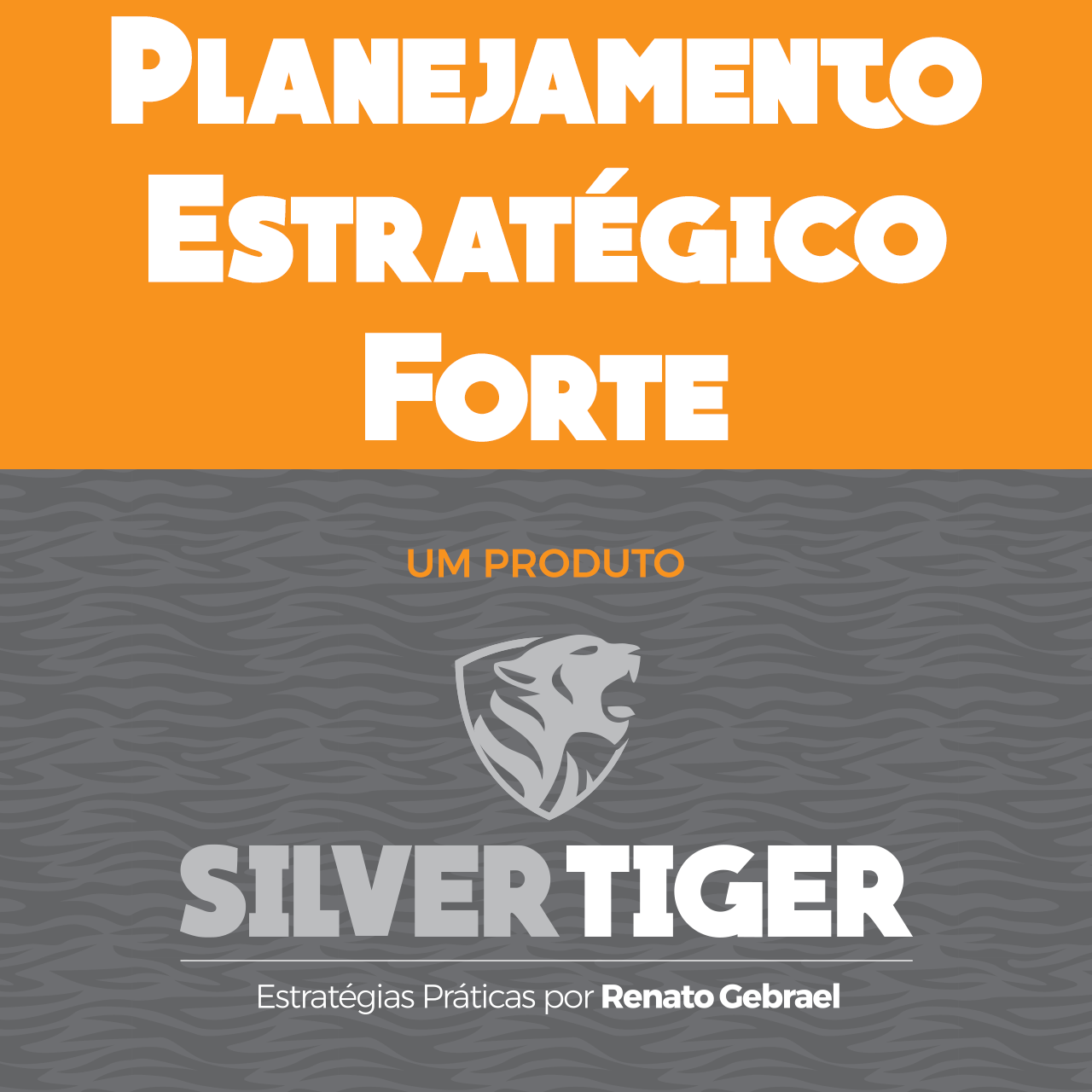 Planejamento Estratégico Forte