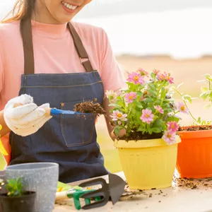 Imagem de capa para o Ebook Jardinagem de Verâo