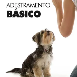 Imagem de capa para o Ebook GUIA BÁSICO DE ADESTRAMENTO DE CÃES