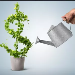 Cover image for Online course Abundance Development Program