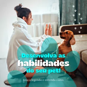 Imagem de capa para o Curso online Curso de Adestramento de Cães