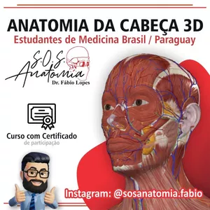 Imagem de capa para o Curso online ANATOMIA CABEÇA 