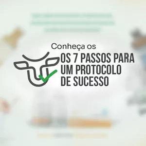 Imagem de capa para o Curso online Os 7 Passos para um Protocolo de Suce$$o