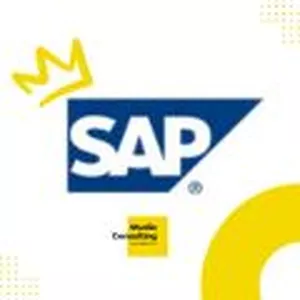 Imagem de capa para o Curso online EAD SAP FINANÇAS