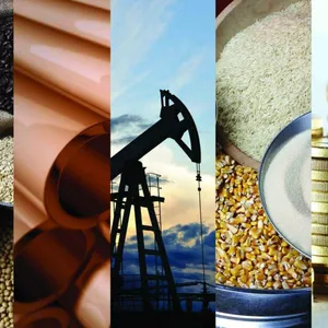 Imagem de Análise e Operações de Commodities Agrícolas criado por Joao Ricardo Peruchi Scanavini na hotmart