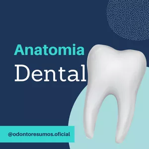 Imagem de capa para o Ebook Anatomia Dental - Resumo