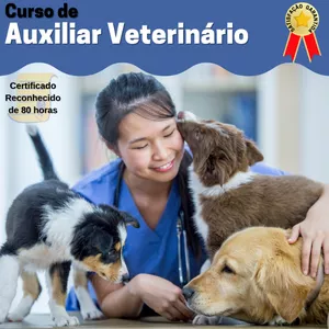 Capa do curso 
