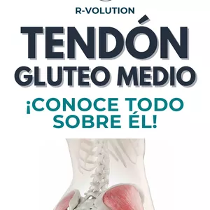 Imagen de portada para Ebook Anatomía y Causas de la Lesión del Tendón Glúteo