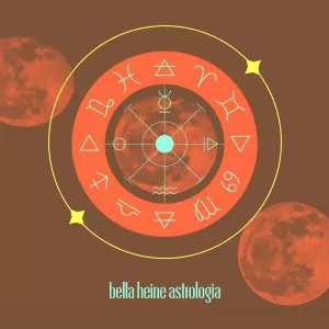 Imagem de capa para o Curso online Casas: Decifrando os Campos da VIda