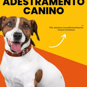 Imagem de capa para o Ebook Os Segredos do Adestramento Canino + Bônus