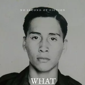 Cover image for Ebook What does this mean, avionero?