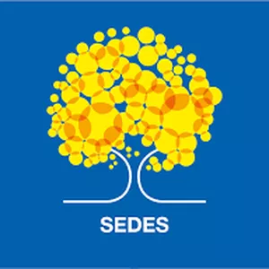 Imagem de capa para o Curso online Concurso SEDES DF