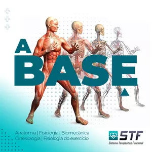 Imagem principal do produto A BASE: anatomia, fisiologia, fisiologia do exercício, biomecânica, cinesiologia na prática