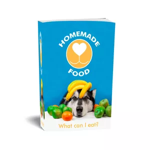 Cover image for Online course Homemade Food - 50 homemade dog food recipes