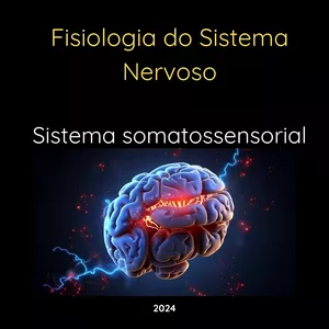 Imagem de capa para o Ebook Apostila sobre Sistema Somatossensorial