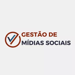 Imagem de capa para o Serviço online Gestão de Mídias Sociais 