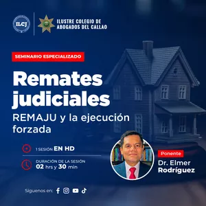 Imagen de portada para Curso online Seminario especializado: Remates judiciales - REMAJU y la ejecución forzada