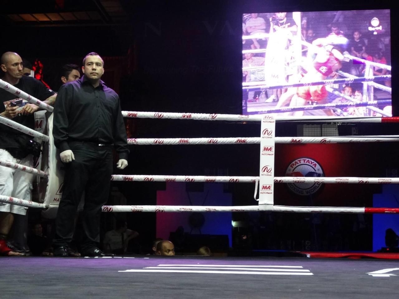 Imagem do curso Curso de Árbitro e Juiz de Muay Thai Profissional e Amador Online