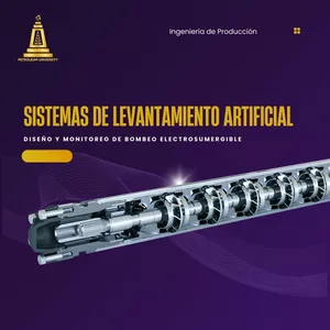 Imagen de portada para Curso online DISEÑO Y MONITOREO DE BOMBEO ELECTROSUMERGIBLE