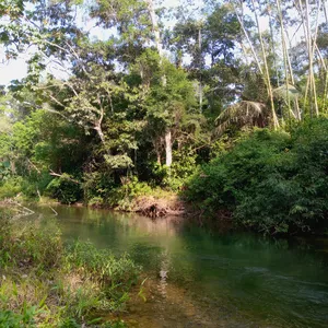 Imagen de portada para Curso online Paisaje en el agua