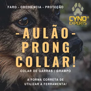Imagem de capa para o Curso online AULÃO - PRONG COLLAR