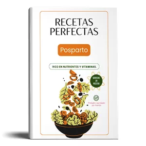 Imagen de portada para Ebook Recetas posparto
