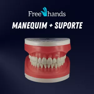 Imagem de capa para o Curso online Manequim + Suporte FREEHANDS