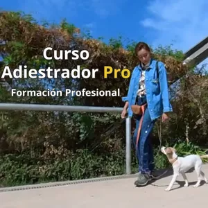 Imagen de portada para Curso online CURSO ADIESTRADOR PRO