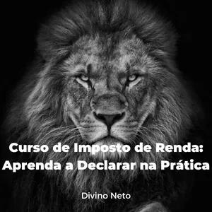 Imagem de capa para o Curso online Curso de Imposto de Renda: Aprenda a Declarar na Prática