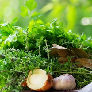 Imagem de capa para o Ebook Receitas plantas medicinais contra gripe 