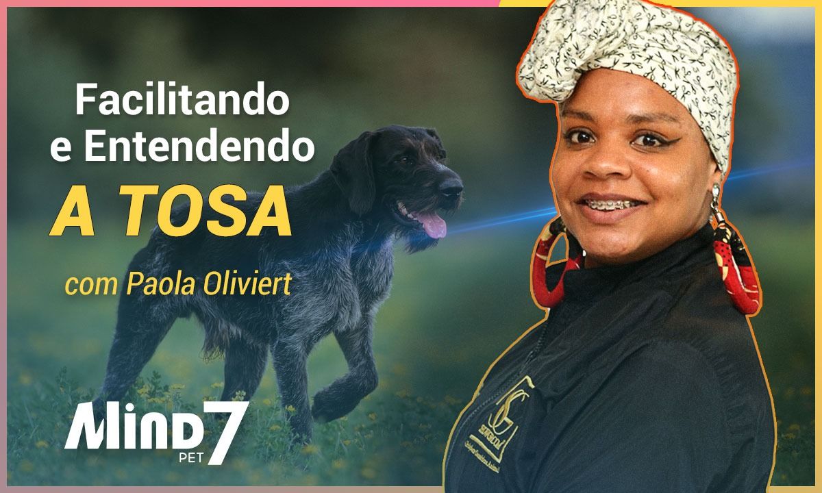 Imagem do curso Facilitando e entendendo a tosa no dia a dia 