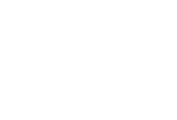 Natural Ginga logo