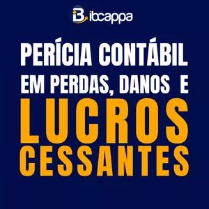 Imagem de capa para o Curso online Perícia Contábil em Perdas, Danos e Lucros Cessantes