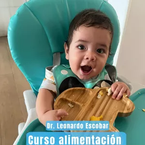 Imagen de portada para Curso online Alimentación complementaria 