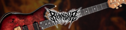 RyanDXP's Guitar Courses