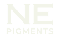 NE Academy logo