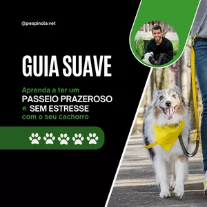 Imagem do curso Guia Suave