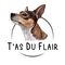 T'as du flair - Académie