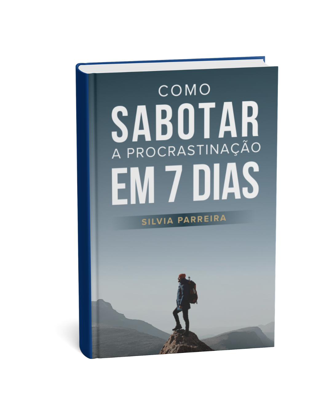 Procrastinação ebook