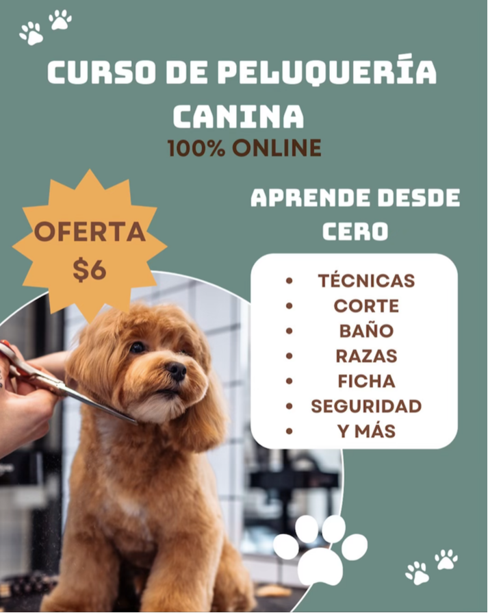 CURSO ONLINE DE PELUQUERÍA CANINA