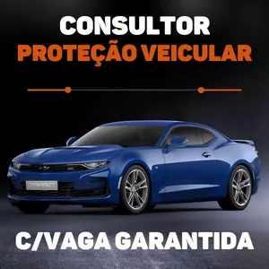 Imagem do curso Curso de consultor de proteção veicular!
