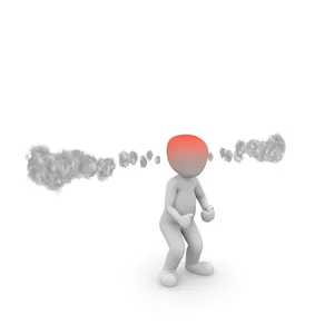 Imagem de capa para o Ebook Controle da Raiva
