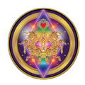 N.E.E.N YOUniversity  logo