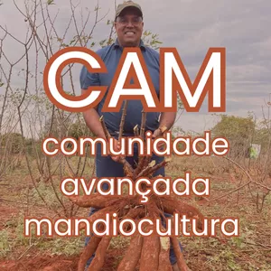 Imagem de capa para o Curso online Comunidade Avançada de Mandiocultura