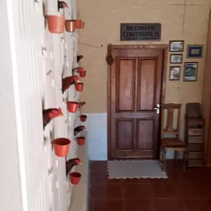 Imagem do curso Curso de como formar linhagens em galos combatentes .