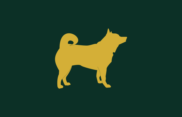 Imagem de Excel na Vida Real com o Método AA da Neder & Company criado por Rafael na hotmart