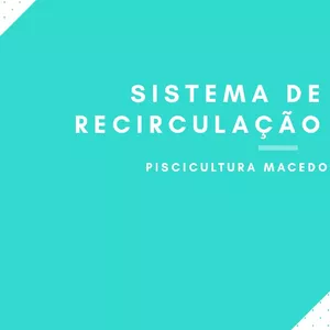 Imagem de capa para o Ebook EBOOK SISTEMA DE RECIRCULAÇÃO PARA PEIXE DA PISCICULTURA MACEDO