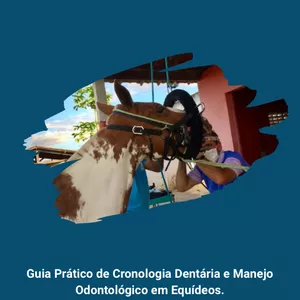 Imagem de capa para o Ebook Na Boca do Cavalo Idade, Anatomia e Saúde Bucal.