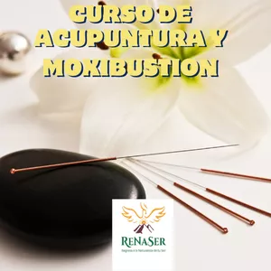 Imagen de portada para Curso online Curso de Acupuntura y Moxibustión Online en Vivo 2024