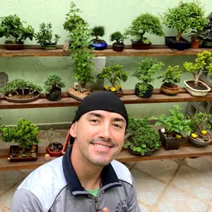 Imagem de capa para o Curso online Curso On Line e Oficial de Bonsai para Iniciantes